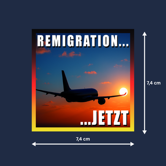 "REMIGRATION JETZT" Aufkleber